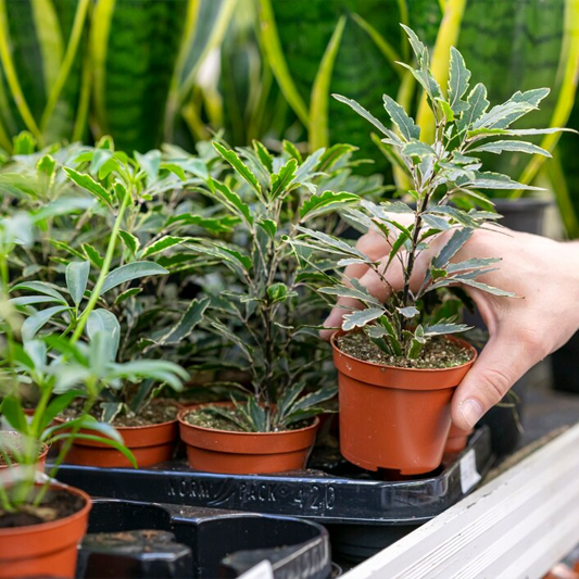 Aluminium Kozijnen & Binnendeuren